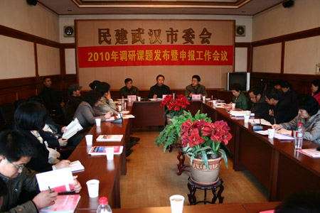 �����ٿ�2010����п��ⷢ�����걨��������